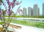 天河公園9500平方米頂層觀(guān)景平臺(tái)即將對(duì)外開(kāi)放