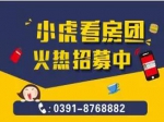 八月焦作房產(chǎn)網(wǎng)小虎免費(fèi)看房團(tuán)開(kāi)始報(bào)名了